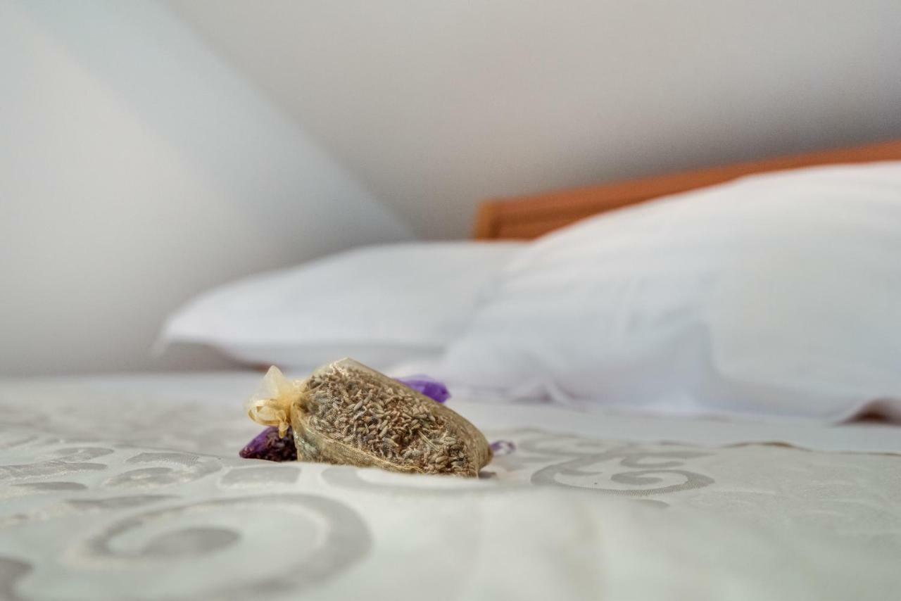 Studio Maslina Apartment Šibenik Екстериор снимка